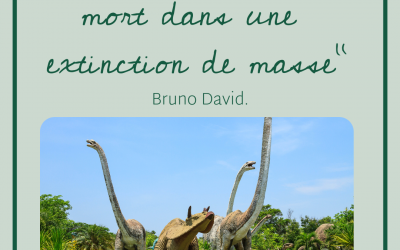 La baisse de la fertilité, vers une sixième extinction de masse ?