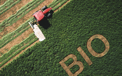 Huiles Essentielles et Label BIO – Normes ISO ou 100% pures Vs. Grade CPTG