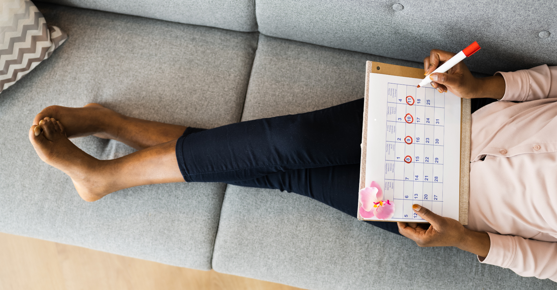 observation du cycle