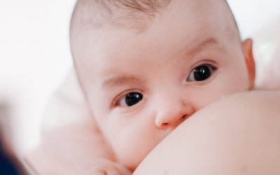 Le « Biological nurturing »: une approche différente de l’allaitement